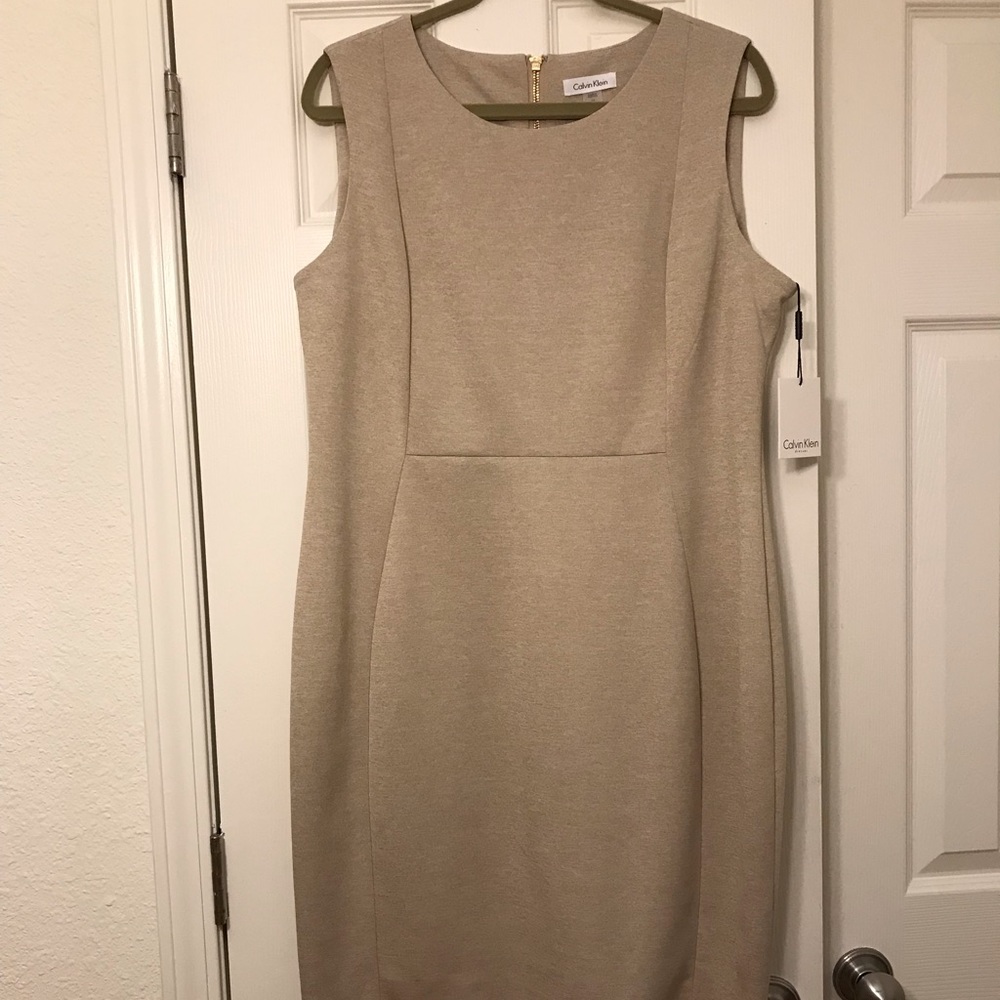 Calvin Klein Professional Dress